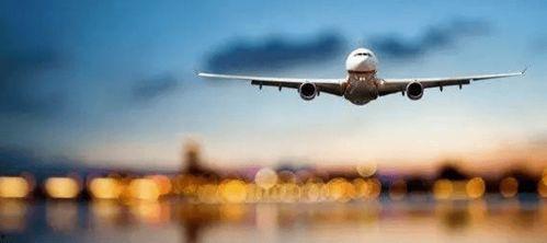 飞机吃瓜最新事件爆料,揭秘航班上的惊人一幕  第3张