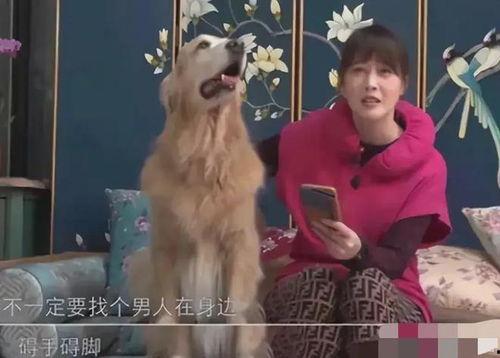 黄安爆料周海媚身世视频,一段尘封的往事  第1张